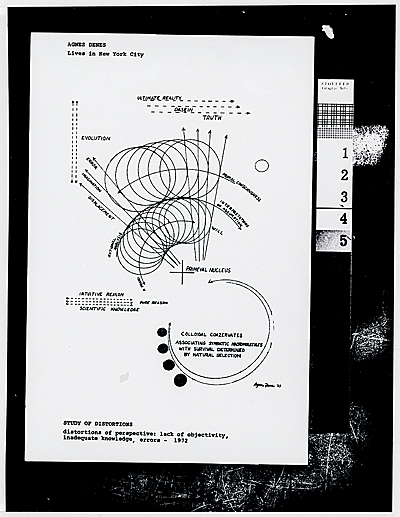 Citation Study of Distortions by Agnes Denes 1972 Agnes Denes 