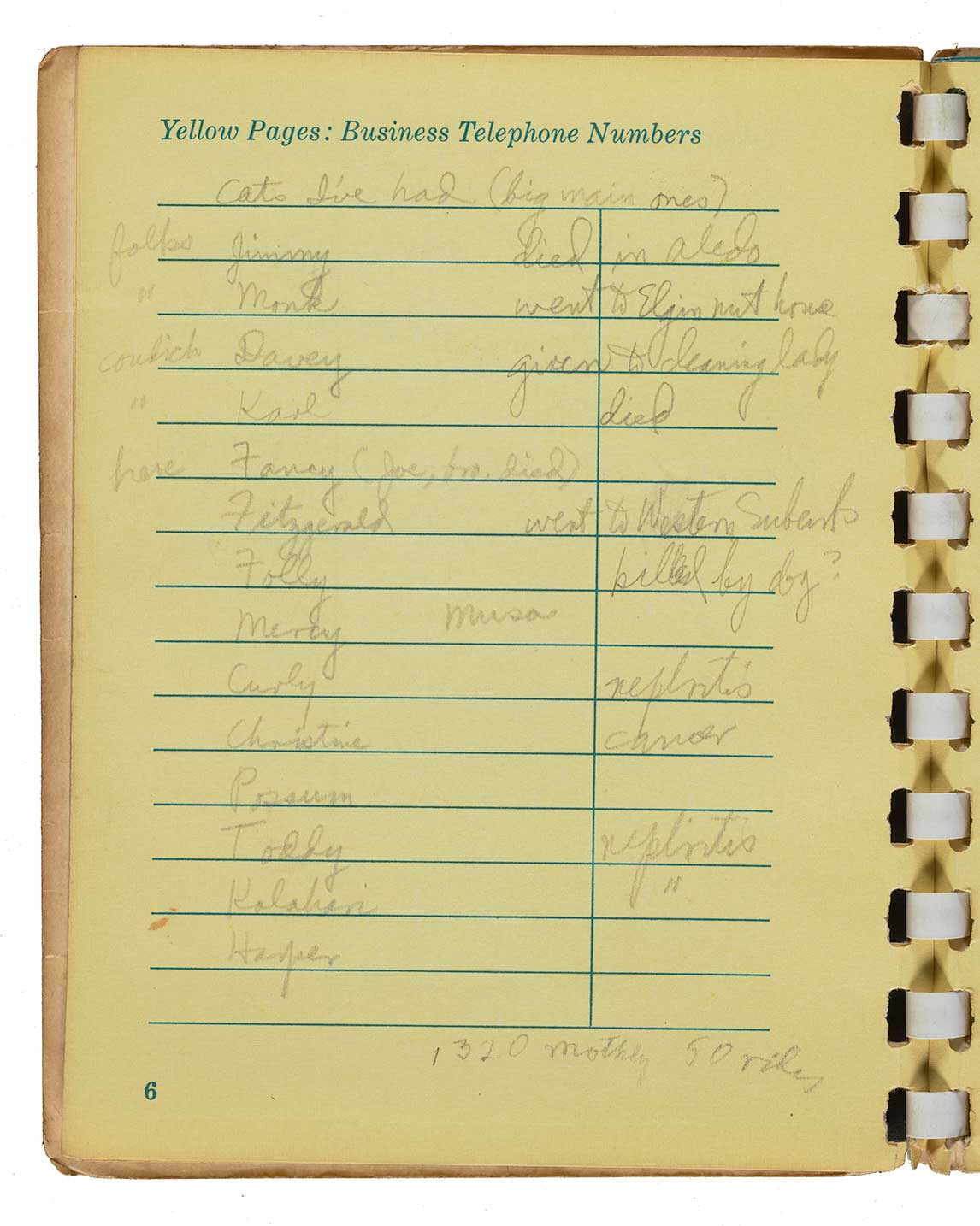 List of cats in Gertrude Abercrombie's address book
