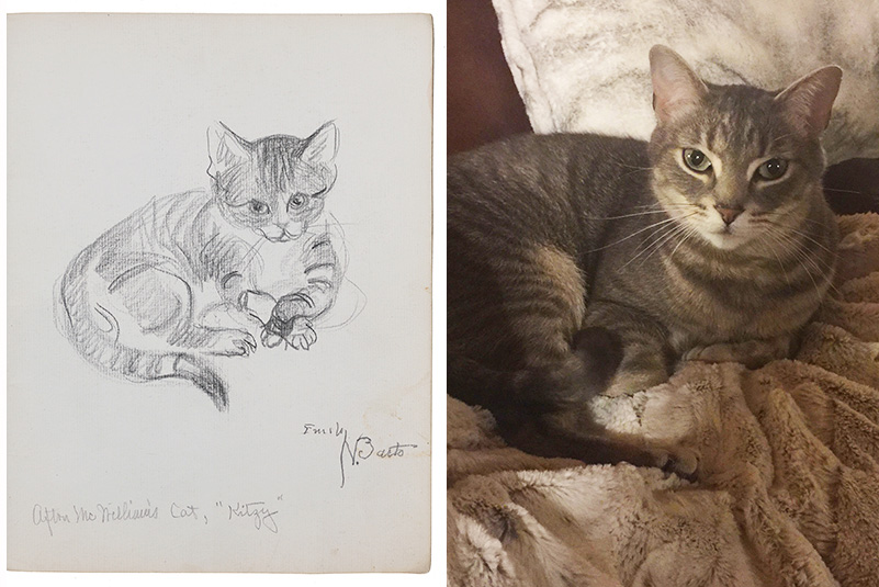 Sketch of a cat by Emily Barto next to a photograph of an AAA staff member's cat