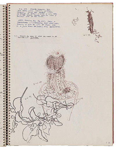 Sketchbook with drawing of a cactus in brown ink and plant leaves in black ink. The images are dated and there are notes on the page in blue and black ink. A note for March 3 says “Drawing for today is a study of a whale to be painted in Witness.”