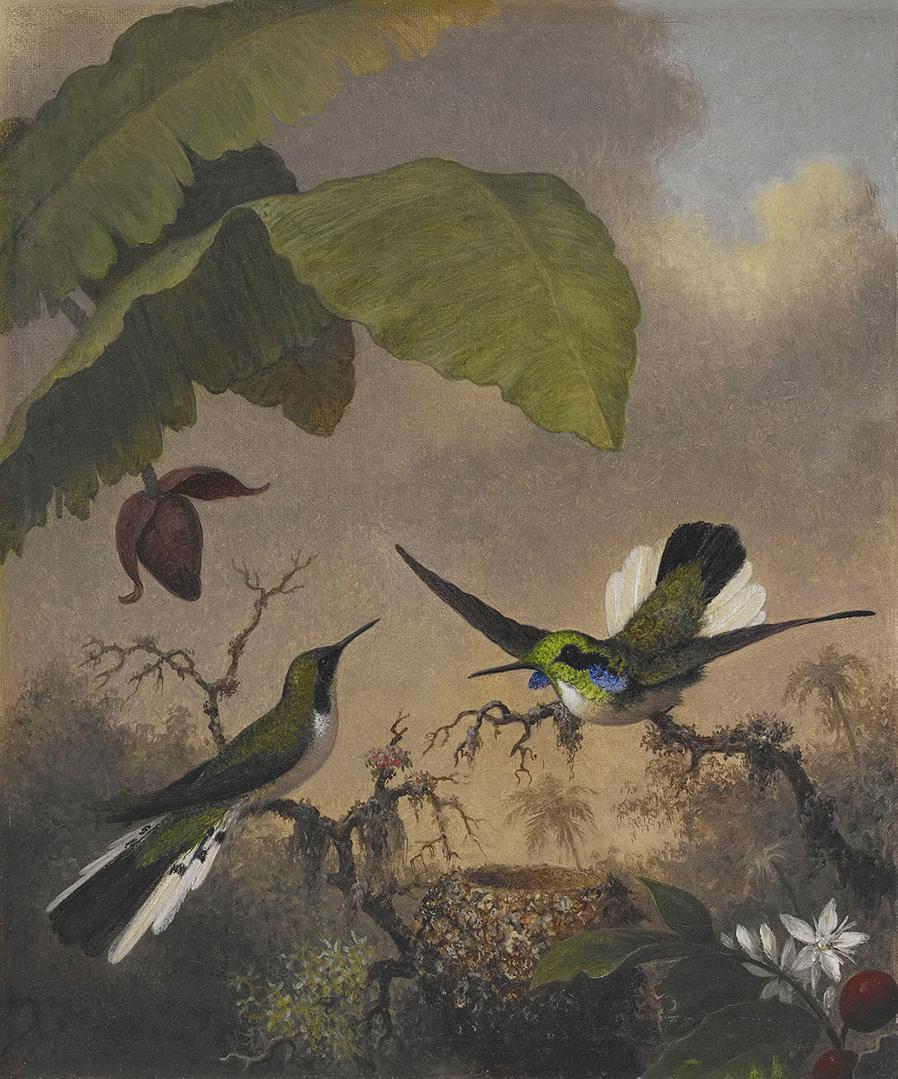 Painting of two green hummingbirds with white bellies, black beaks, and blue markings by their nest, under a canopy of green tropical leaves, with a large cloud in the background