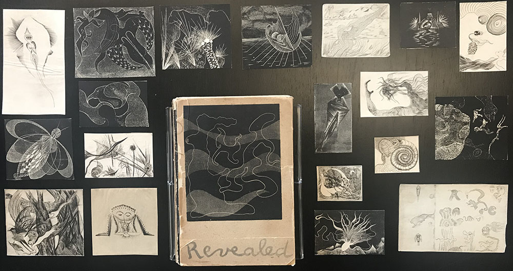 Photograph of Ian Hugo's letterpress book Reveal and loose prints