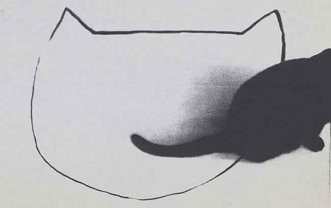 Photograph and drawing of a black cat 