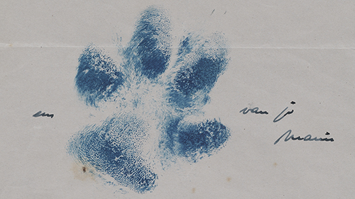 Letter with pawprint in blue ink.