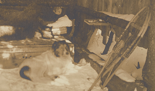 The artist Abbott Thayer in his outdoor sleeping hut with his dog. 