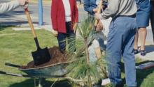 Detail of color image of small crowd gathered to watch the a tree being planted.